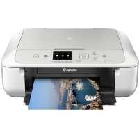 Cartucce e Serbatoi per Canon Pixma MG5751