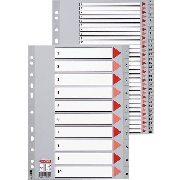 Esselte - 100105