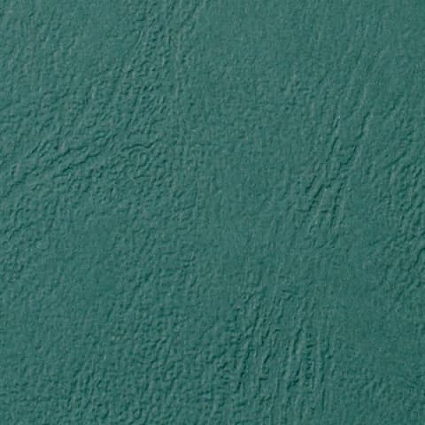 GBC - CE040045
