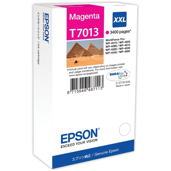 Cartuccia Epson T7013 (C13T70134010) magenta - 516550