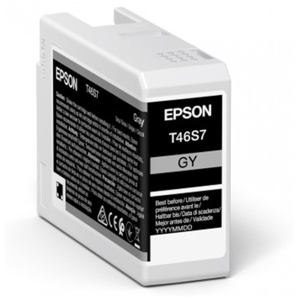 Cartuccia Epson T46S7 (C13T46S700) grigio - B01045