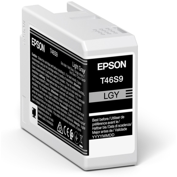 Cartuccia Epson T46S9 (C13T46S900) grigio chiaro - B01073
