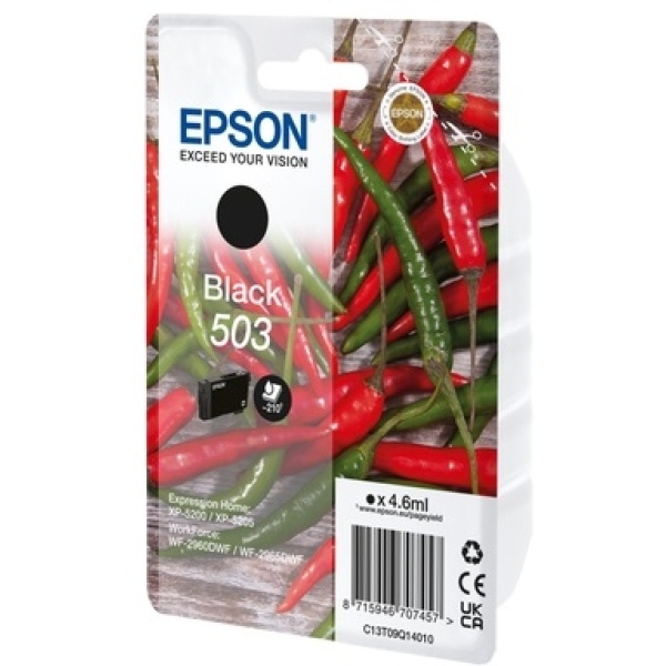 Cartuccia Epson 503 (C13T09Q14010) nero - B02106