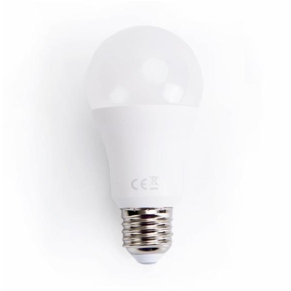Lampadina LED A5 A60 grandangolare E27 17w 6400k - 100001MYB - O00949