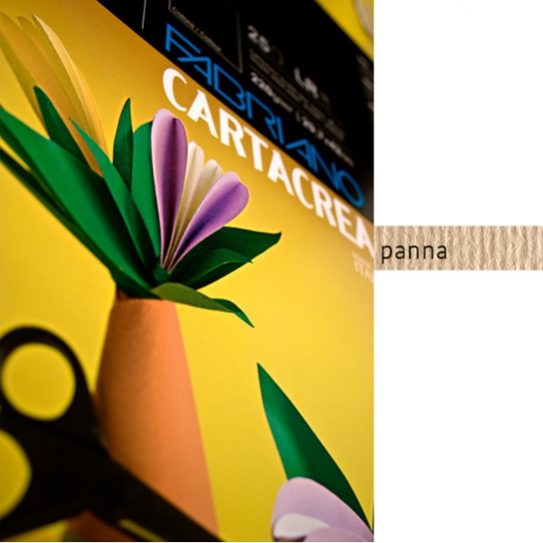 Blister 10fg cartoncino 35x50 220gr panna cartacrea fabriano - Z01310