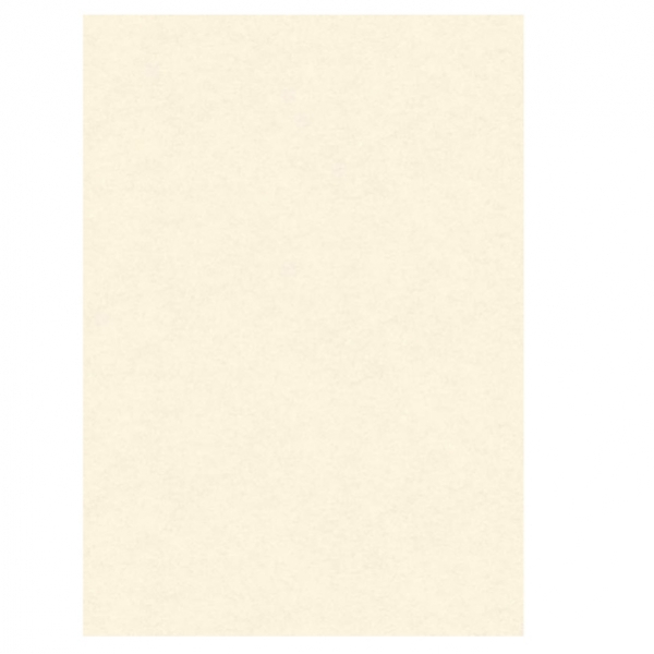 Blister 10 diplomi pergamena 210x297mm 160gr neutro avorio kartos - Z05744