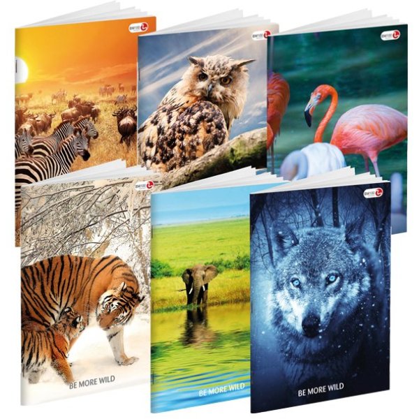 MAXIQUADERNO A4 36FG+2 100GR 1RIGO C/MARGINE WILD BE MORE SPECIAL 2018 BM - Z12882