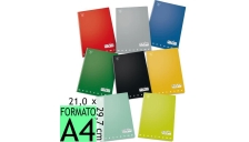 Pigna - 02217801R
