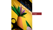 Blister 10fg cartoncino 35x50 220gr ciliegia cartacrea fabriano - Z03739