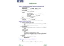 Cartuccia Epson T6124 (C13T612400) giallo - 131019