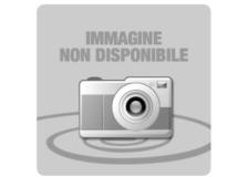 Developer Olivetti B1199 nero - D01784