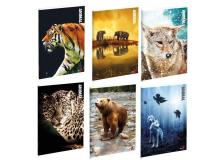 MAXIQUADERNO A4 40FG+2 80GR 5MM ANIMAL 2018 BM - Z13284